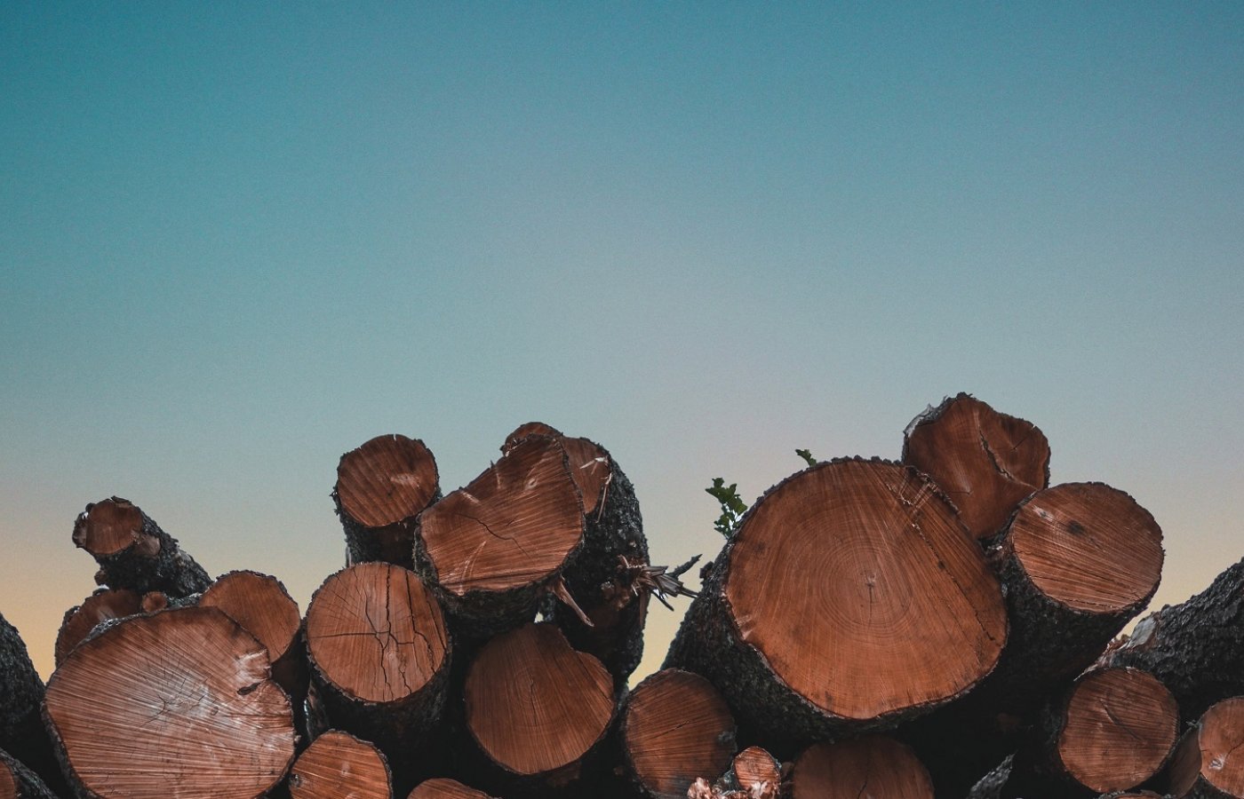 Wood_1540x848